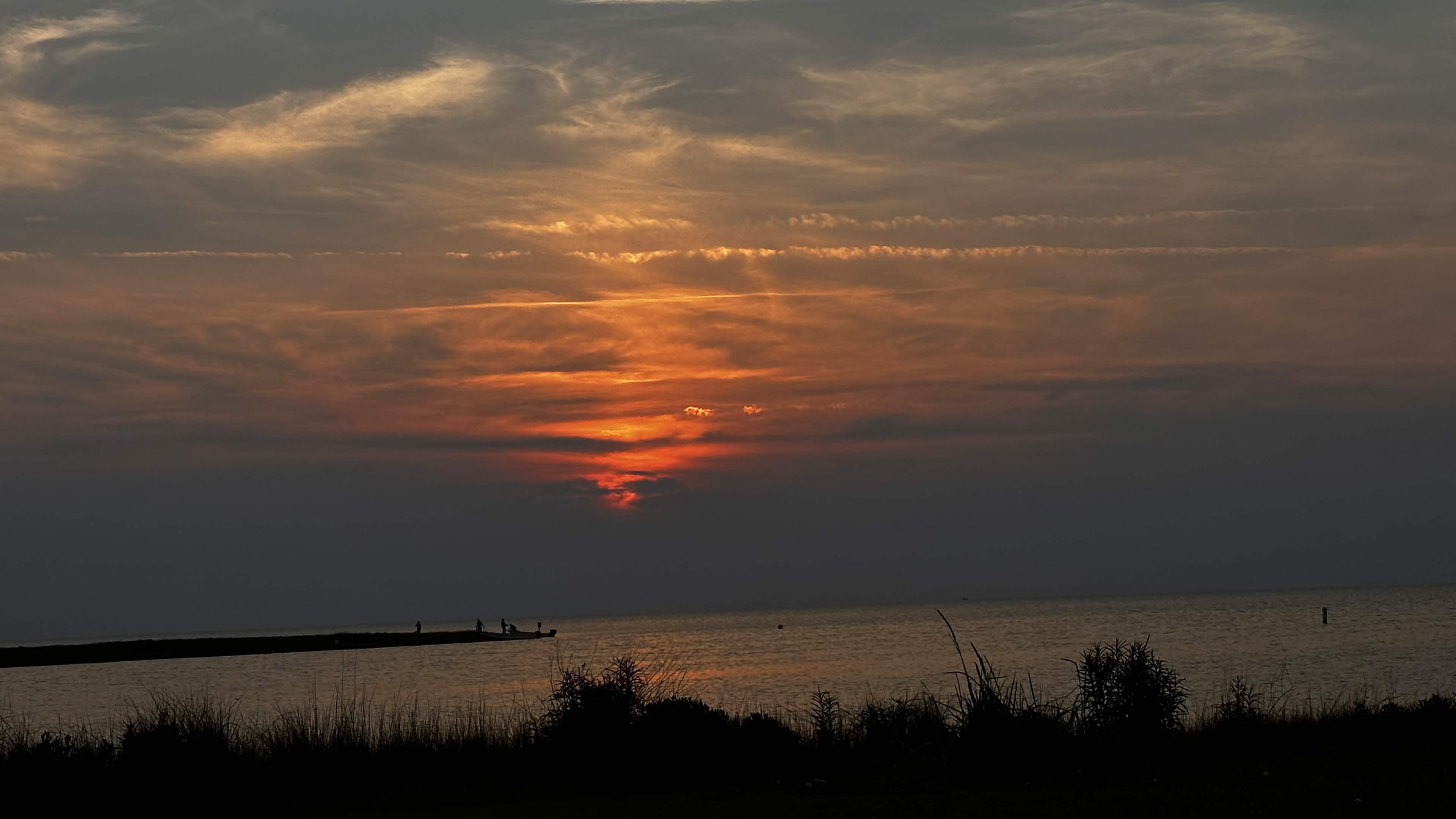 Nature photograph
