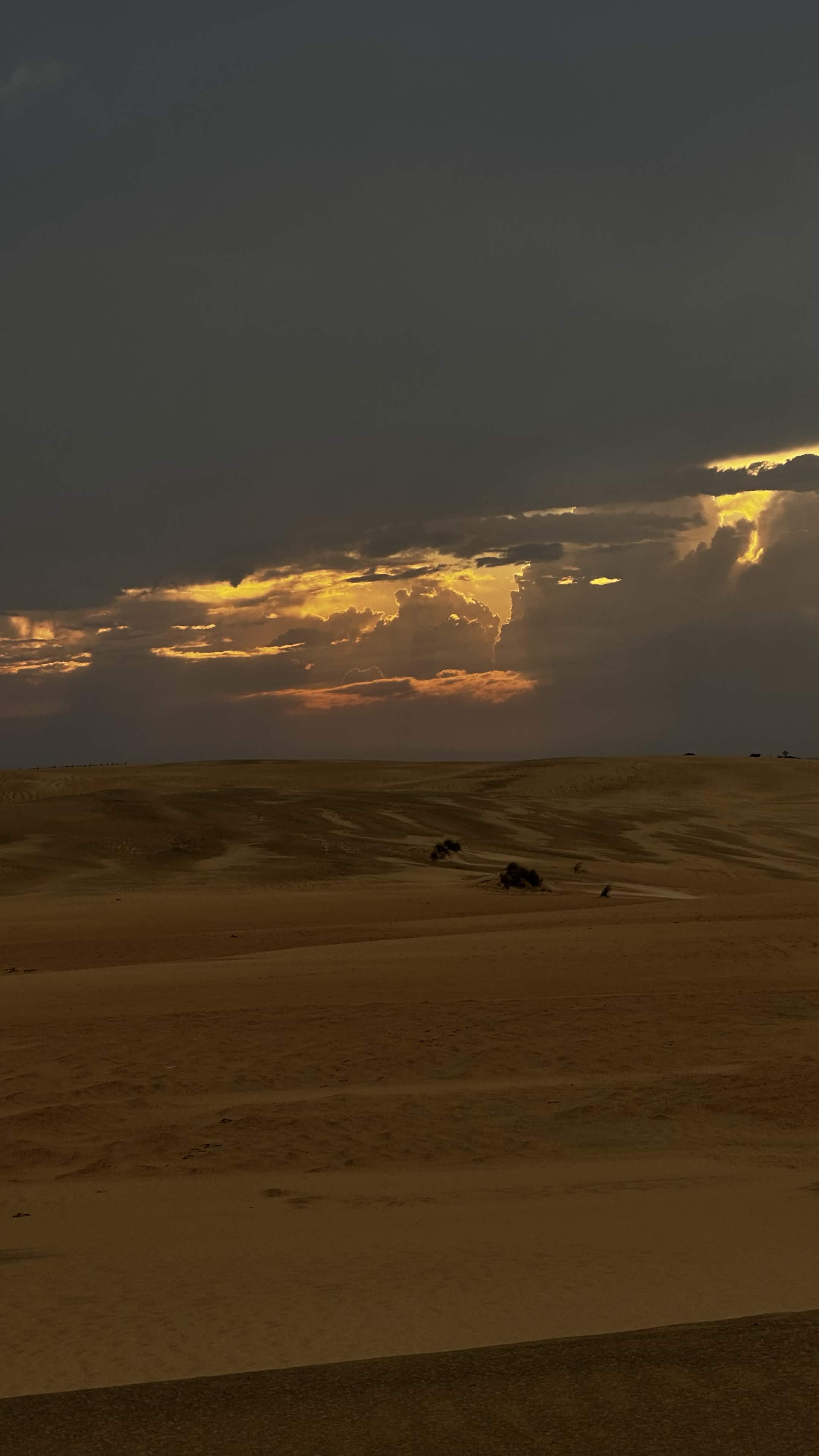 Nature photograph