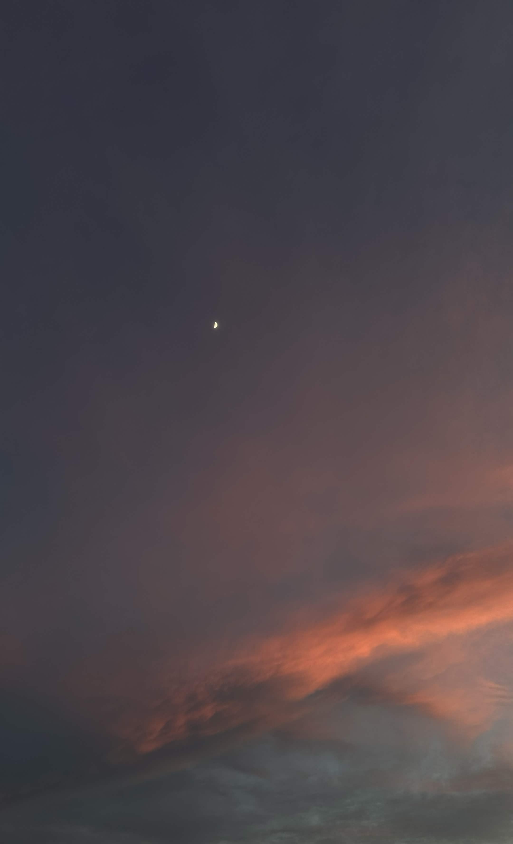 Nature photograph