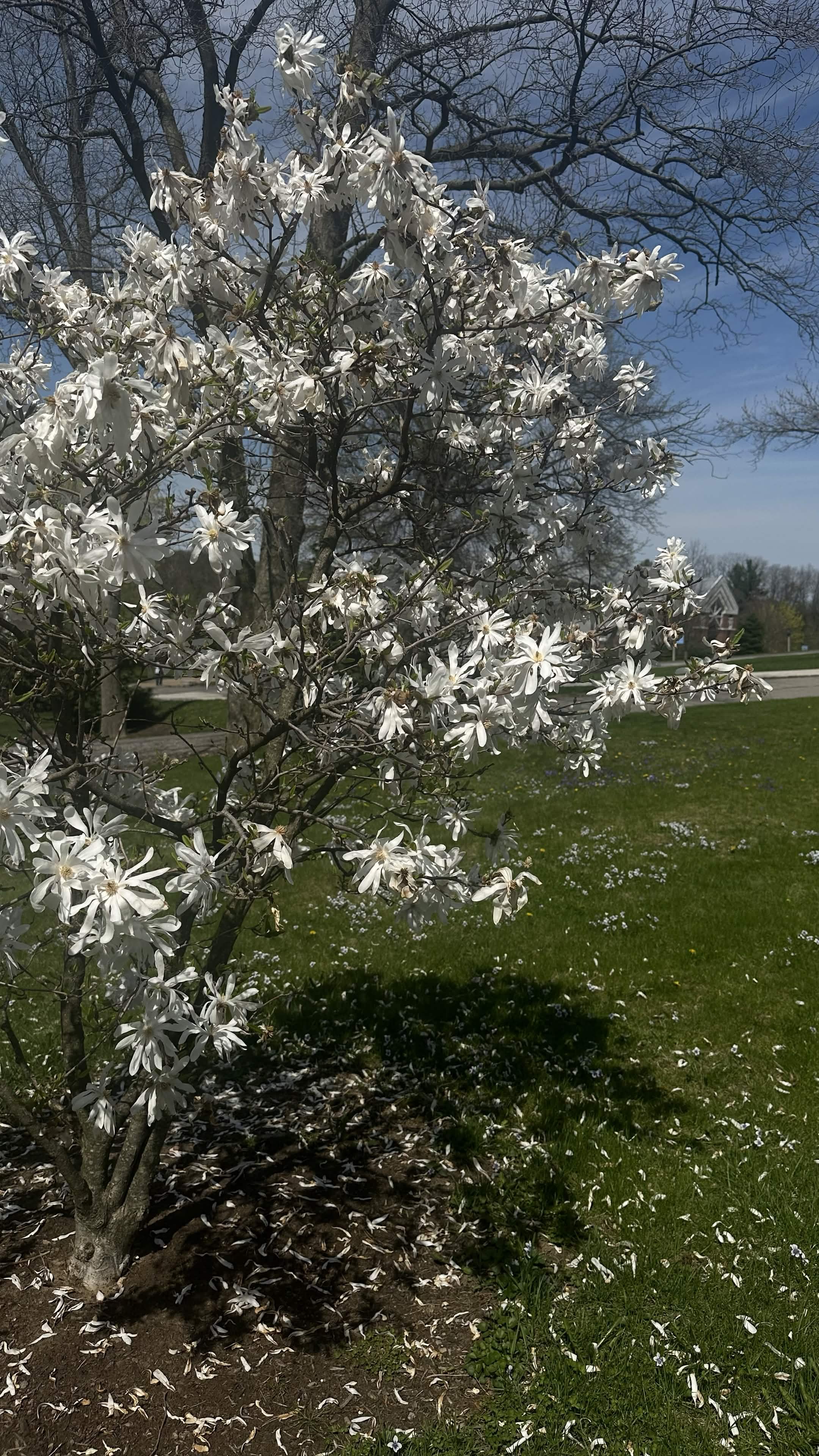 Nature photograph