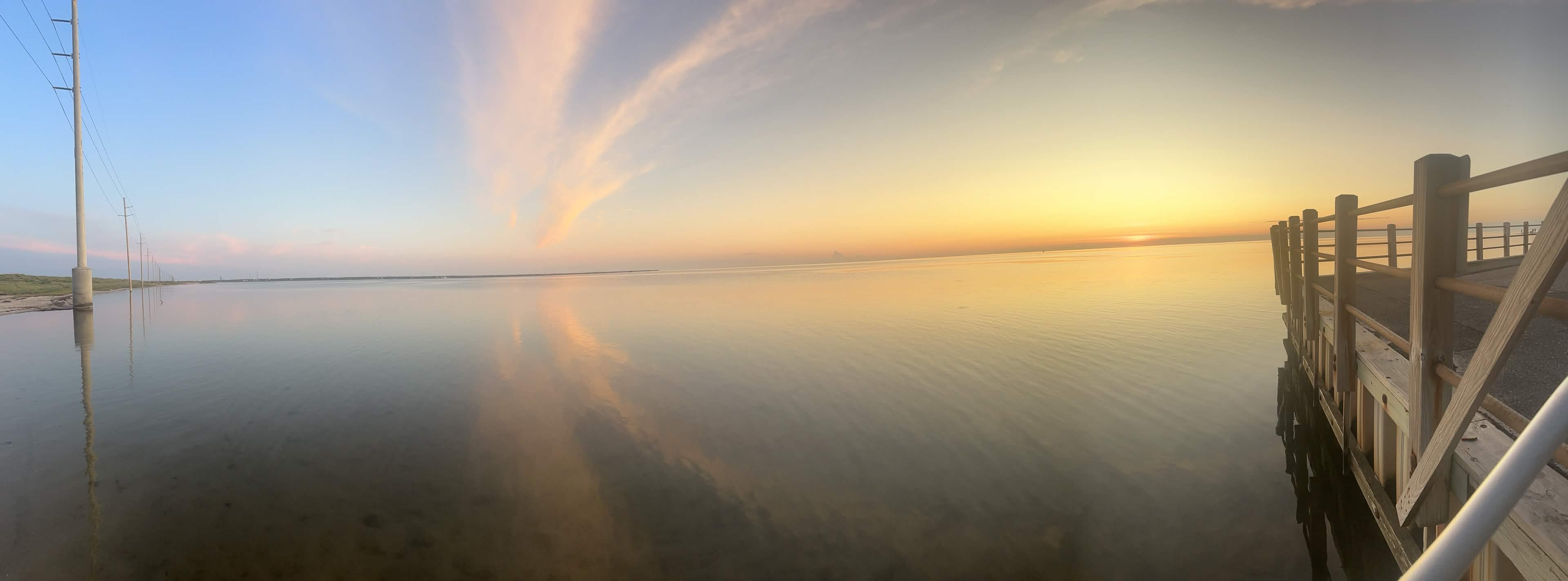 Nature photograph