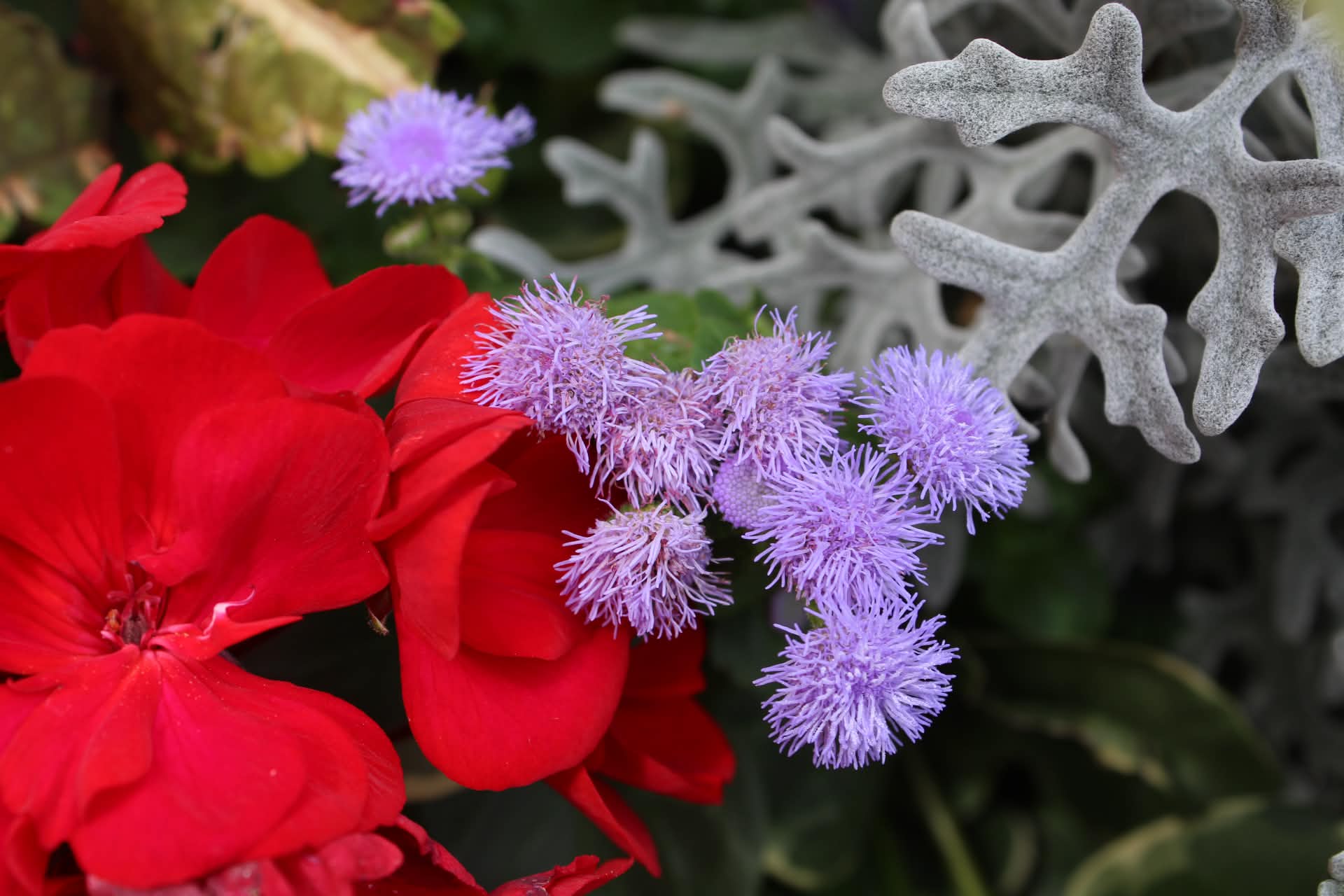 Nature photograph